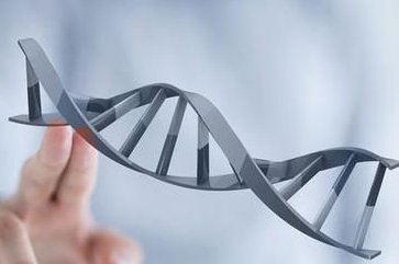 试管胚胎移植为什么不能用原肠胚