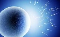 试管移植后丙氨酸氨基转移酶升高是否有问题？